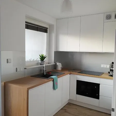 Kompozytor * 卢布林