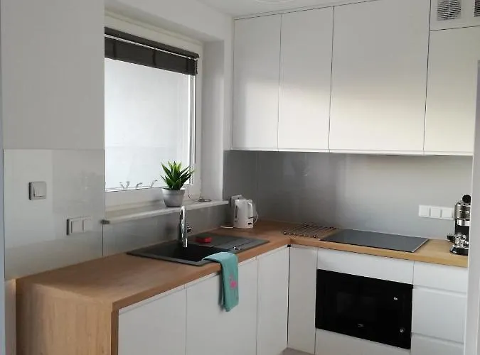 Kompozytor * لوبلين